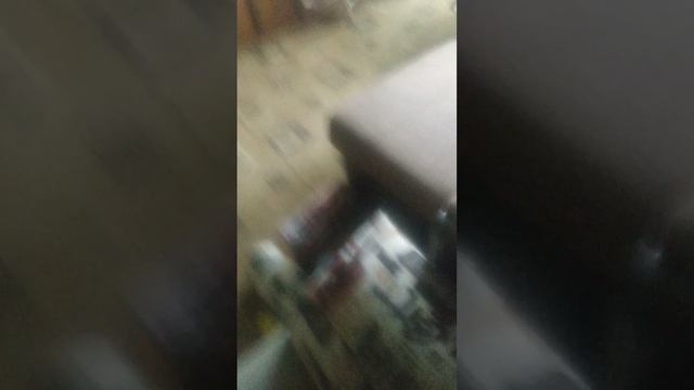 VID_20250518_130853.mp4кркутая камерп