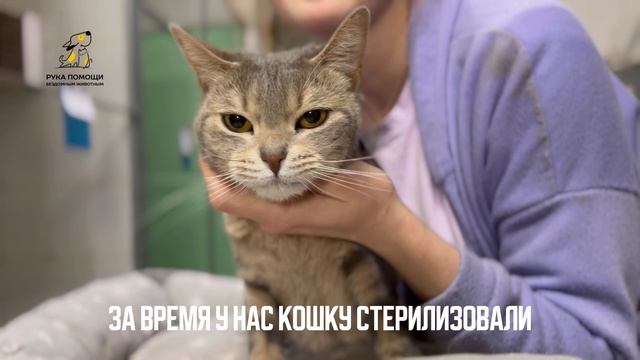 Когда встала не с той ноги. Поддержать⬇️
