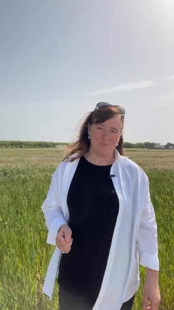 Земельный участок СХ в ст. Натухаевской Краснодарский край