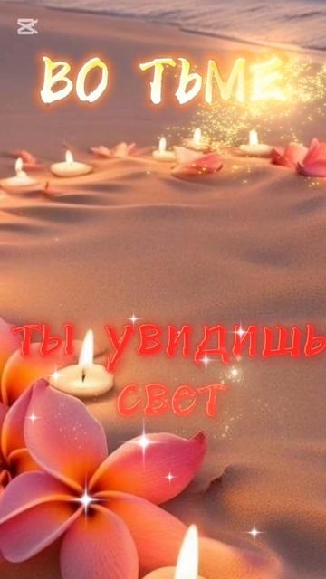 Тихой ночи....