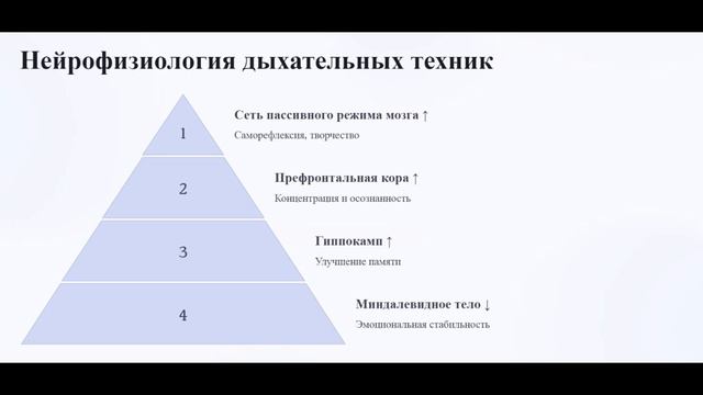 Научные основы медитации на дыхании - КУРС МЕДИТАЦИИ ДЛЯ НАЧИНАЮЩИХ
