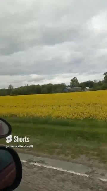 1000218931.mp4