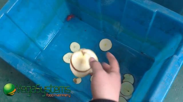 Машина для нарезки яблок на чипсы Vega Hor Slicer H500