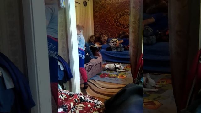 VID_20250518_151938.mp4
