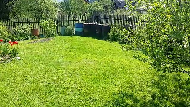 Торговля без стресса это механический подход.