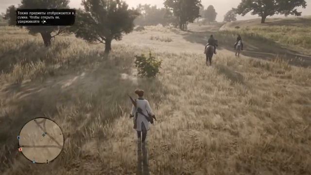 RDR2 Дикий Запад