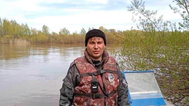 Всероссийский день без сетей