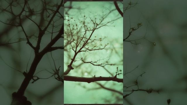 Ветер перемен.