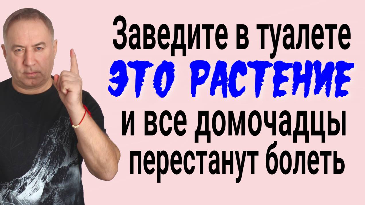 Заведите это растение в туалете - из дома уйдёт порча, а вы перестанете болеть