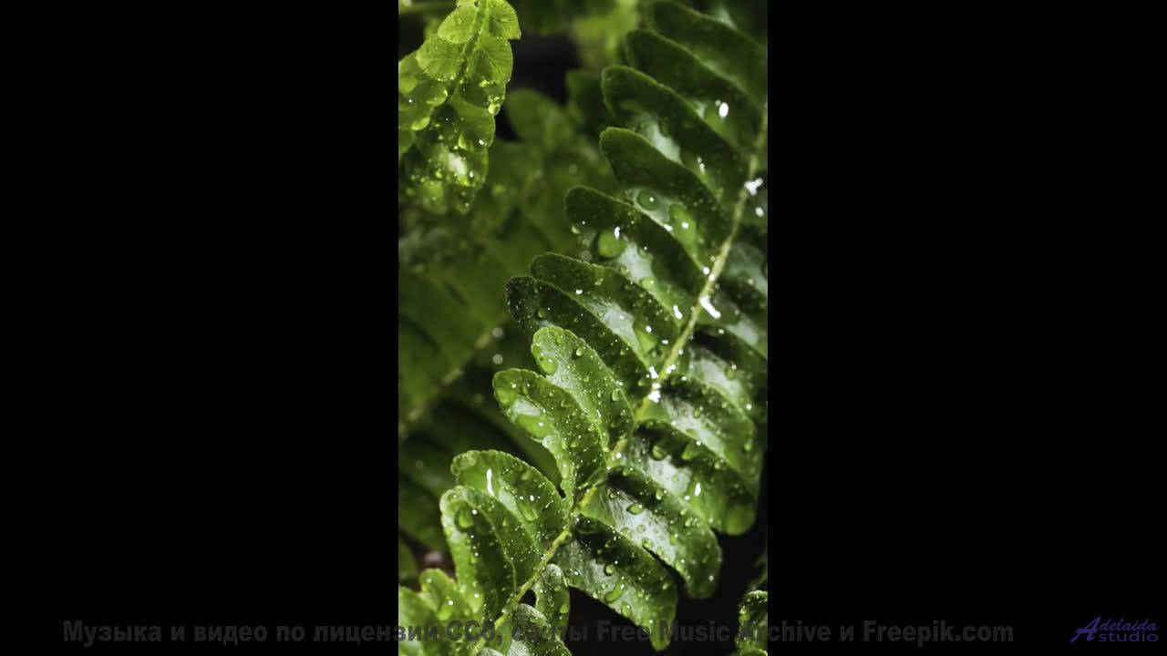 Каждая секунда - как вспышка эмоций под этот трек - 07 Within-Time -- Ketsa -- Free and Beautiful