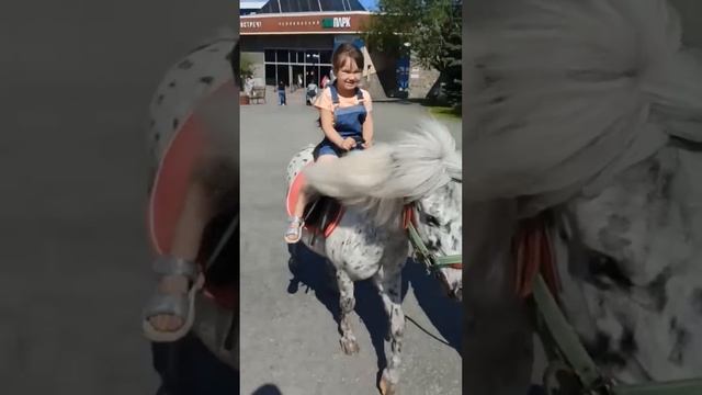 На прогулке в зоопарке