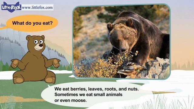 Meet the Animals 5 _ Grizzly Bear _ Wild Animals _ Little Fox _ Animated Stories