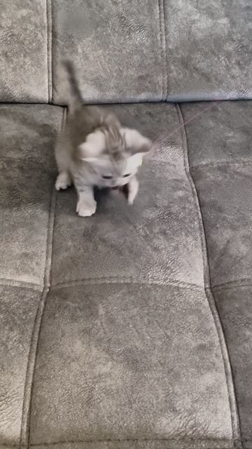 1000002203.mp4
