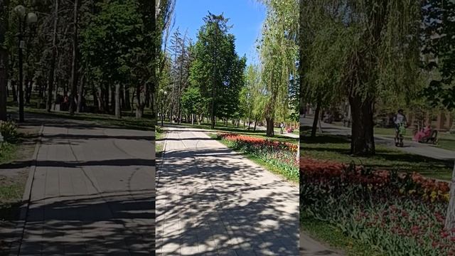 Время тюльпанов в Белгороде. Парк Победы