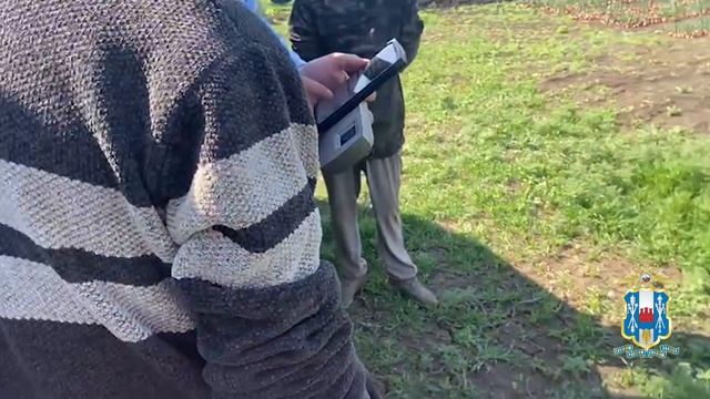 В Ростовской области завершён этап комплексных мероприятий по контролю за миграционной обстановкой