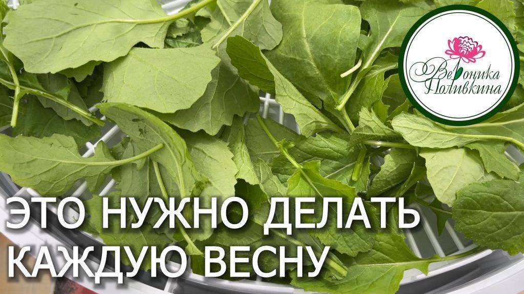 ПРОСТО И ОЧЕНЬ ПОЛЕЗНО