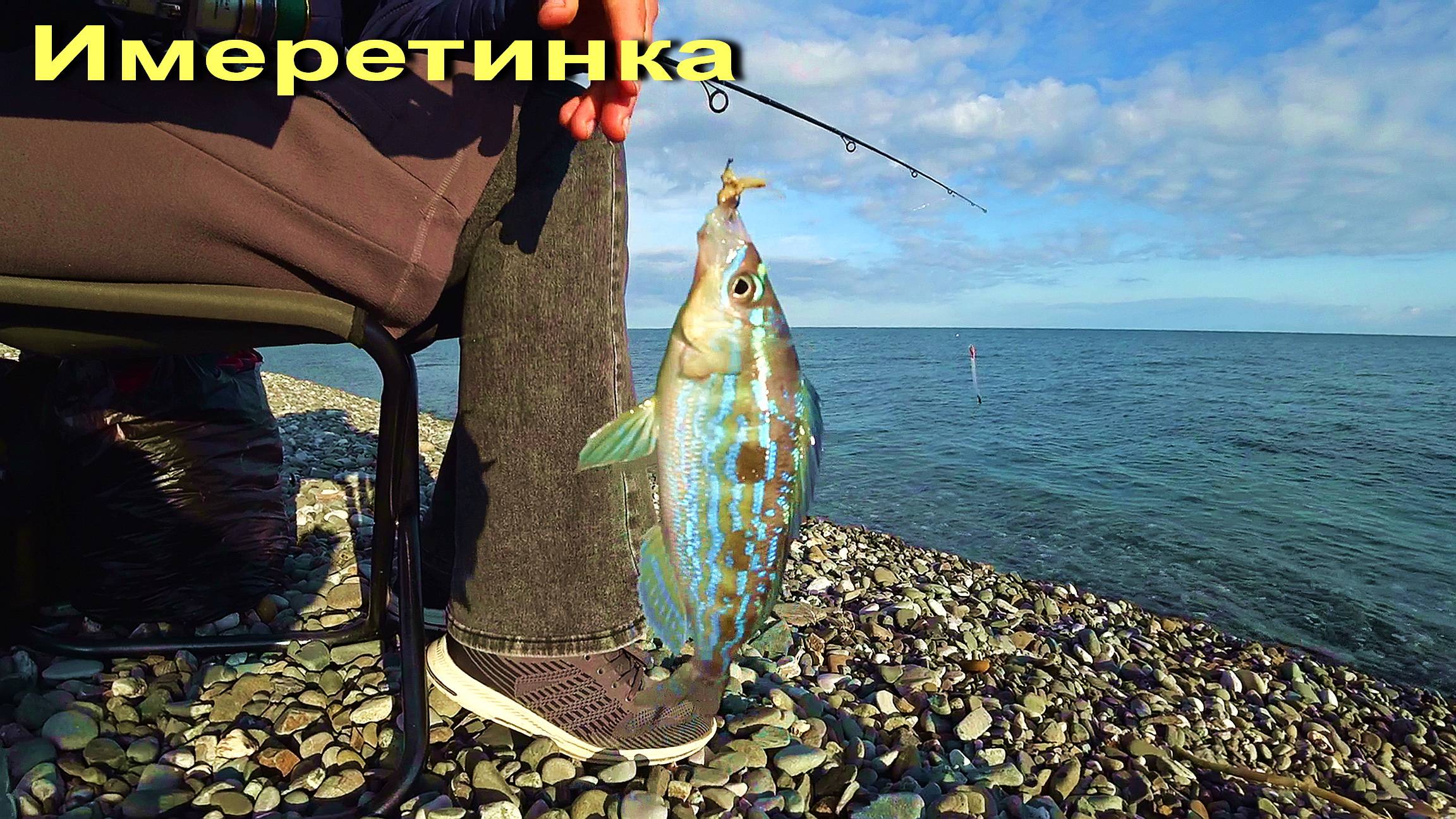 АДЛЕР. ИМЕРЕТИНКА РЫБАЛКА. МНОГО МЕДУЗ. ПОЕЗДКА НА ДАЧУ..