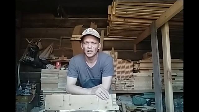 #Копьёво#Отдам сиамских котят#Жизнь и спорт#Неодог#Рус