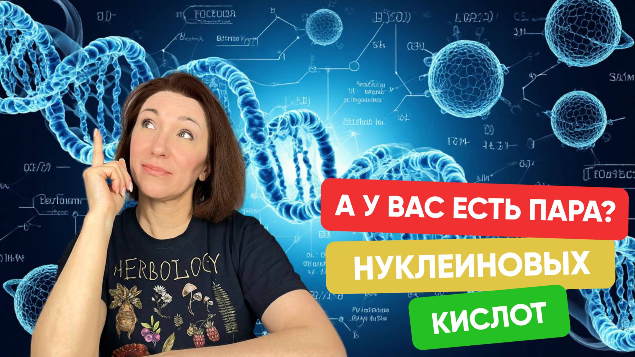 ❓ Что такое ДНК и РНК и зачем они нужны?