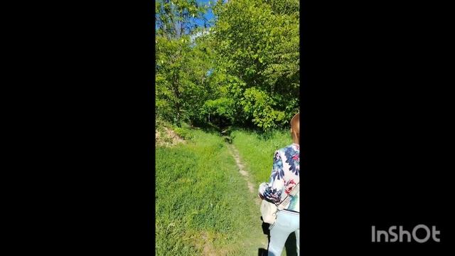 1000002939.mp4