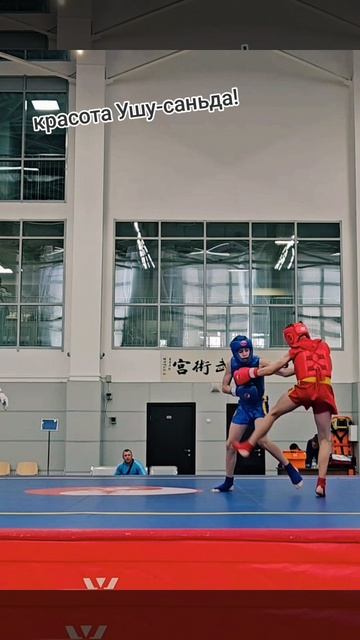 красота Ушу-саньда !