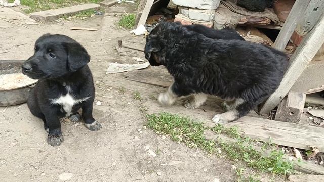 1000007628.mp4