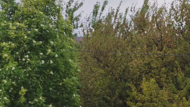 Дождливый и пасмурный день в деревне, счастливая и уютная деревенская жизнь