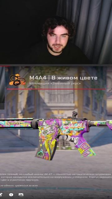 РОЗЫГРЫШ ТУТ ТГК: V4vilonov