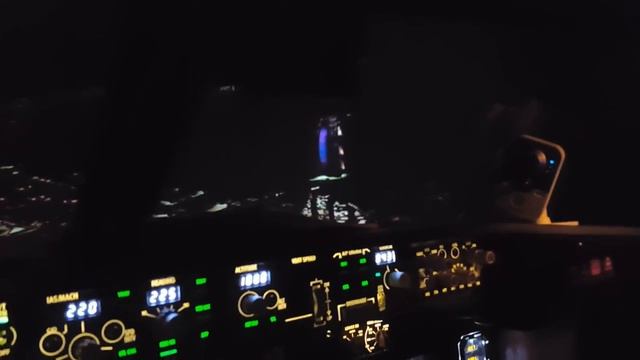 Авиасимулятор