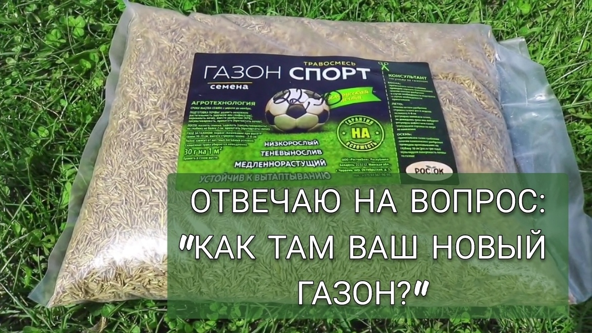 ОТВЕЧАЮ НА ВОПРОС: "КАК ТАМ ВАШ НОВЫЙ ГАЗОН?" 19.05.2025г.