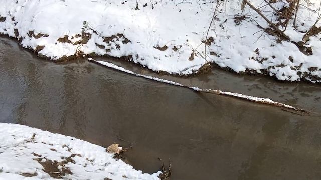 2025-02-26 Слияние Котляковки и Городни