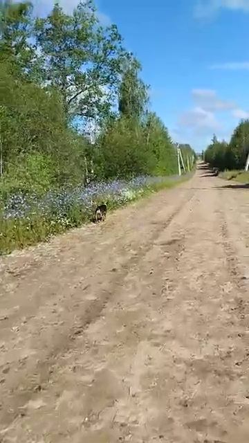 А мы вот так вот отдыхаем