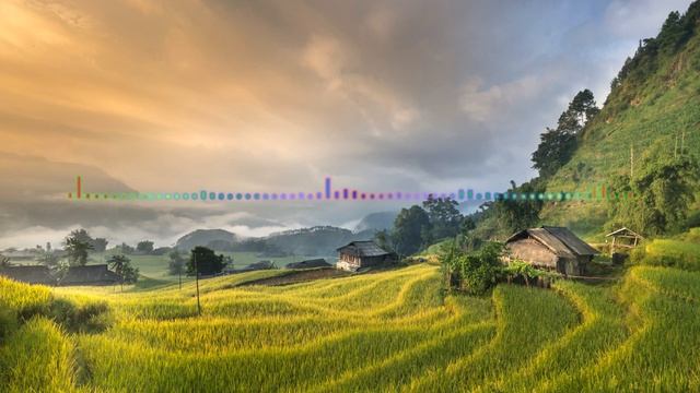 Шахризат - Свадебная 2023