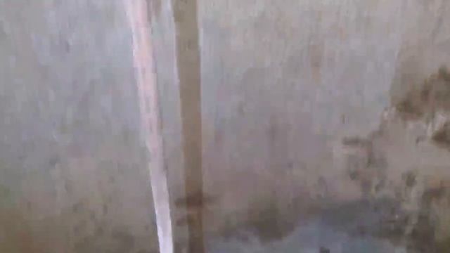 ст.Абрамцево. Нашествие улиток. Наш колодец спустя 5 ле