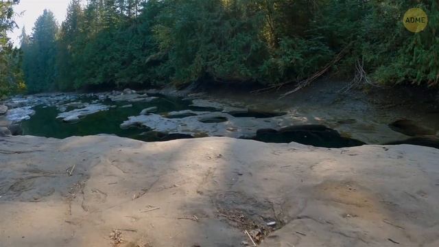 Самые страшные создания не плавают в воде — они ждут