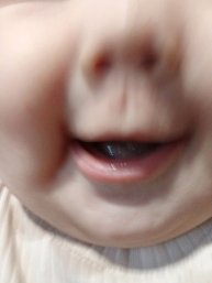 прямая трансляция моя первая