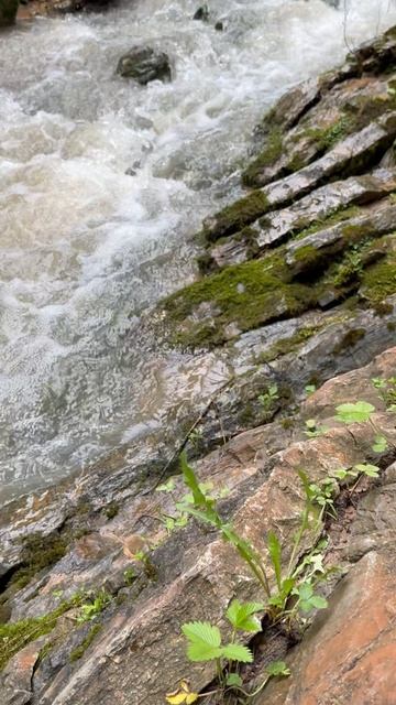 Водопад Шум. Адыгея