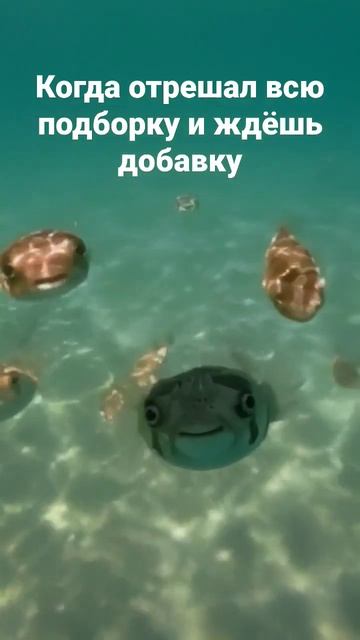 28 марта 2023 г.