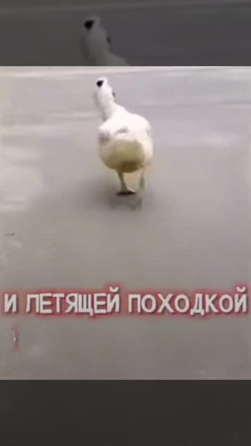 Доброе утро #доброеутро #благодарность