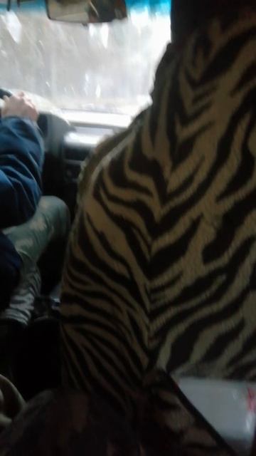 Едем с рыбалки