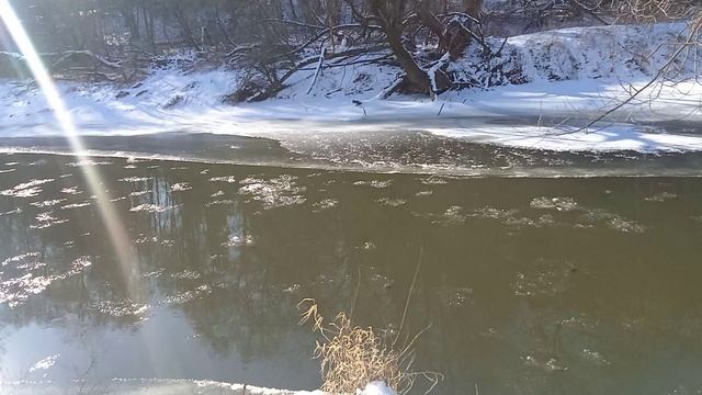 VID_20250224_130410