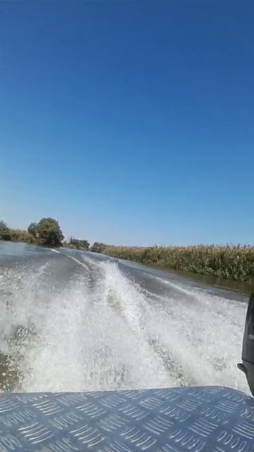 Suzuki dt 30 по Астраханским ерикам.mp4