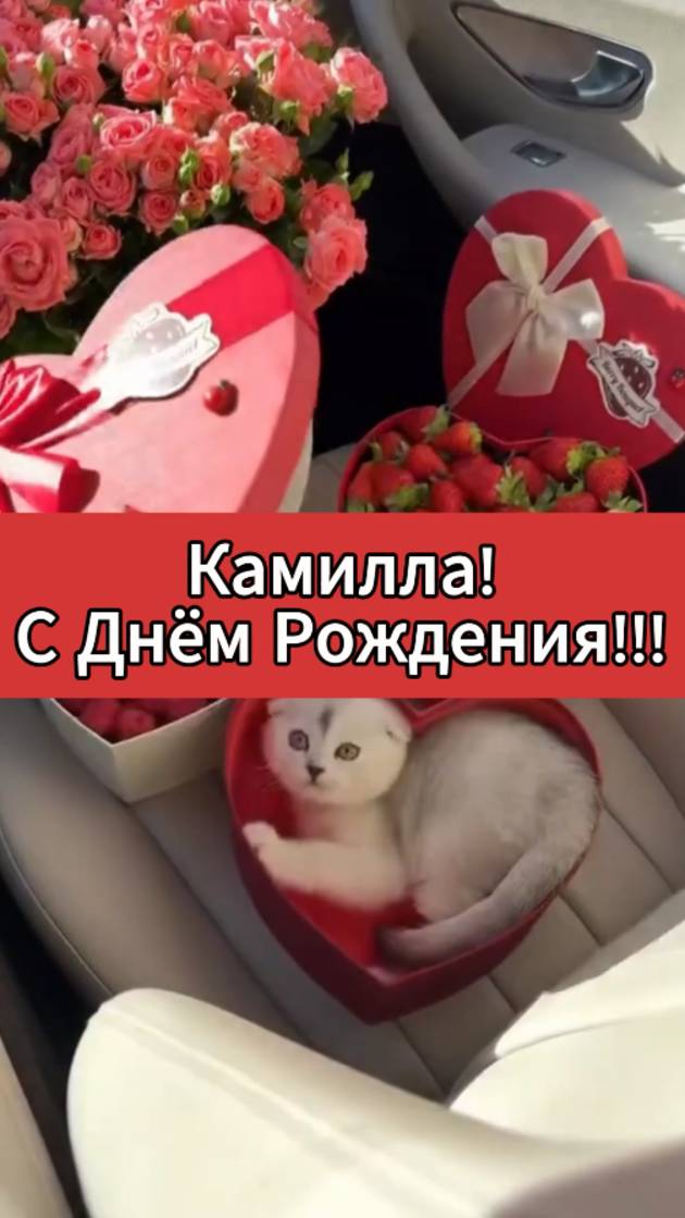 Камилла, С Днём Рождения!
