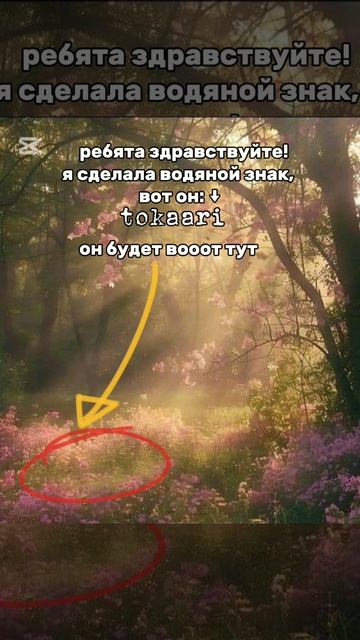 мой водяной знак! :3
