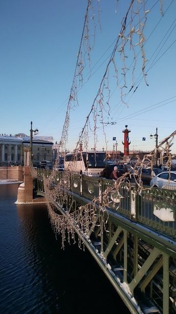 Кунсткамера, вид с Дворцового моста, Петербург. 5 января 2025.