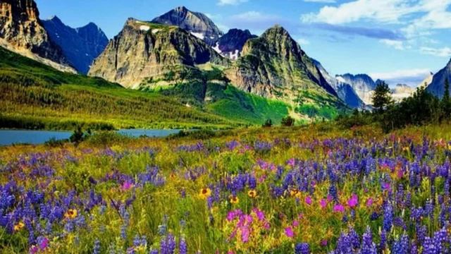 НАЧИНАЕТСЯ ПОЛЕТ! Инна Громова