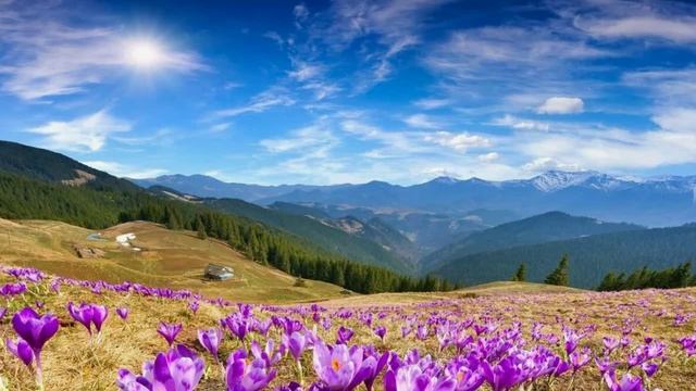 ЦАРСТВО БОЖИЕ УЗРЕТЬ ХОЧУ! Хор СПб
