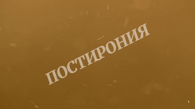 INTRO под заказ №28