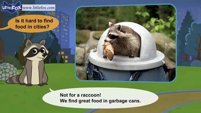 Meet the Animals 12 _ Raccoon _ Wild Animals _ Little Fox _ Animated Stories for
