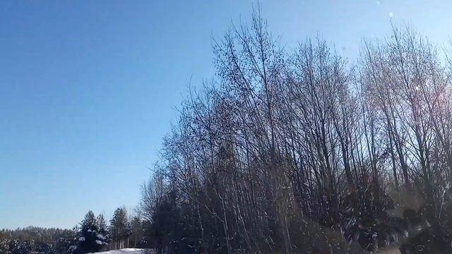 Алёна за пару часов до долгожданного свидания ,посмот?